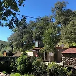 Ninho Da Avo Selvagem Montalegre
