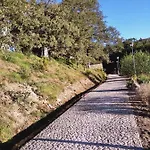 Lodge Ninho Da Avo Selvagem