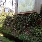 Ninho Da Avo Selvagem * Montalegre