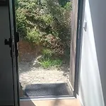 Ninho Da Avo Selvagem