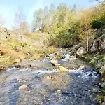 Ninho Da Avo Selvagem Montalegre
