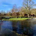 Ninho Da Avo Selvagem Montalegre