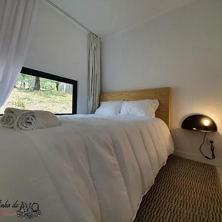 Ninho Da Avo Selvagem