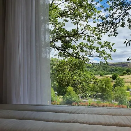 Ninho Da Avo Selvagem *