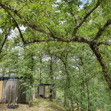 Ninho Da Avo Selvagem Lodge *