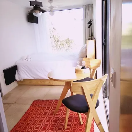 Orman Evi Ninho Da Avo Selvagem Montalegre