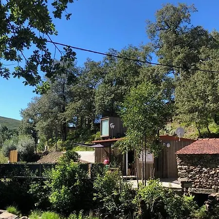 Ninho Da Avo Selvagem Montalegre