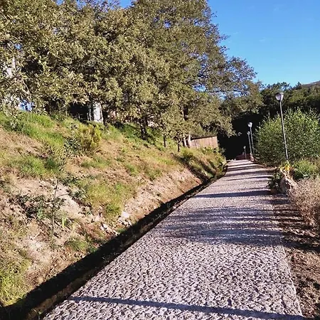 Lodge Ninho Da Avo Selvagem