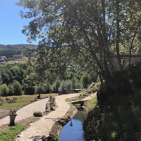 Ninho Da Avo Selvagem