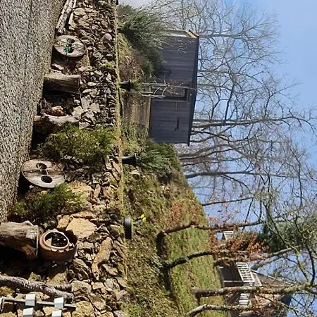 Ninho Da Avo Selvagem 山林小屋