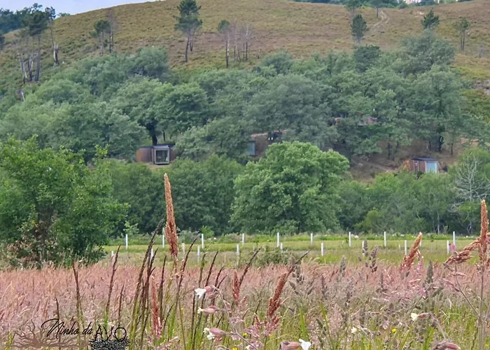 Ninho Da Avo Selvagem Hytte *