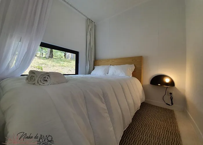 Ninho Da Avo Selvagem