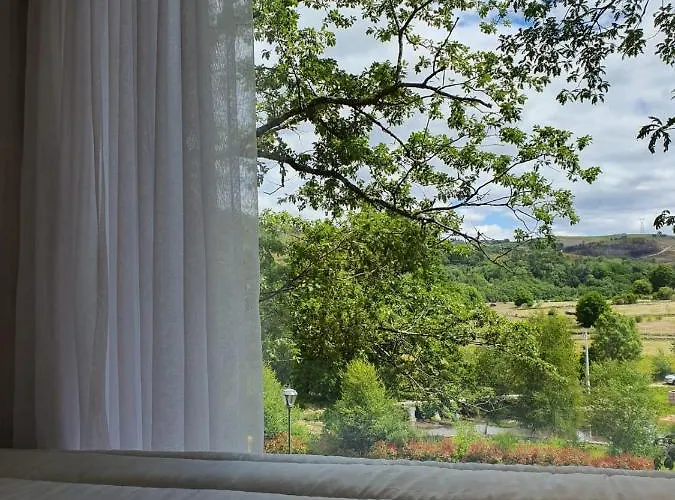 Ninho Da Avo Selvagem *