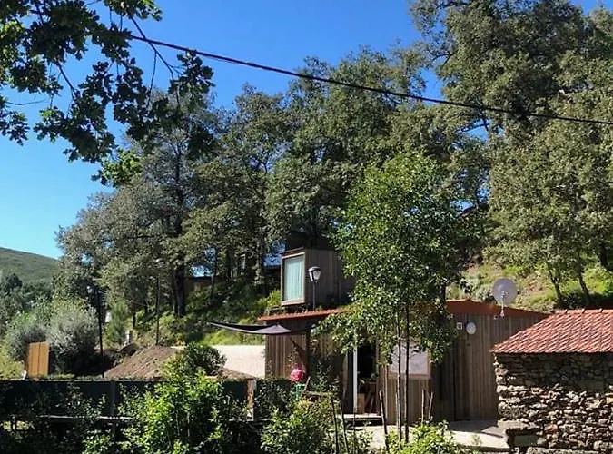 Ninho Da Avo Selvagem モンタレーグレ