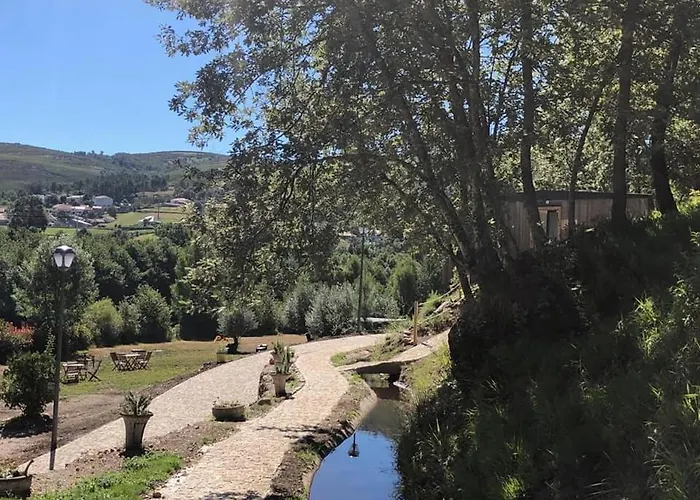 Ninho Da Avo Selvagem